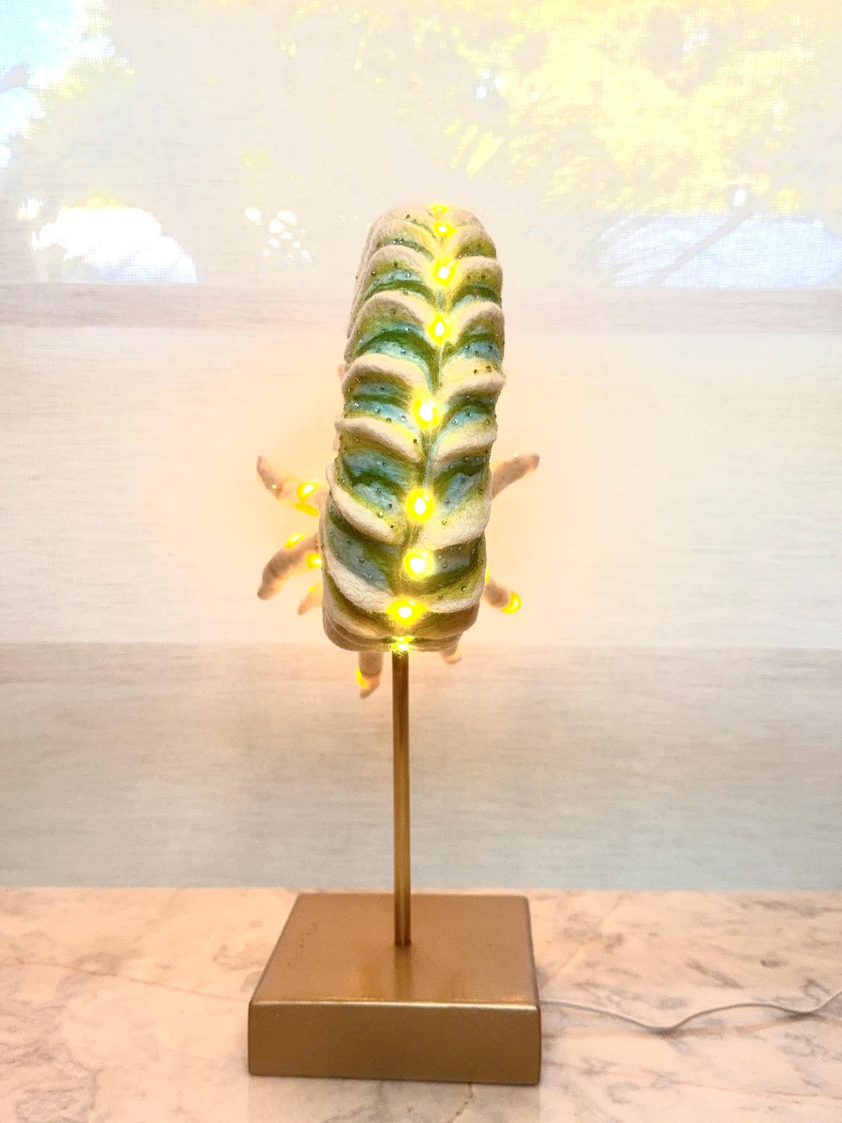 Jewel of the Mythic: Lost Oceans Nautiloid (Illuminated Edition)